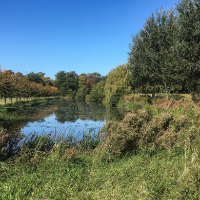 Rijksdienst voor het Cultureel Erfgoed: Brinkkemper, O. (Otto)