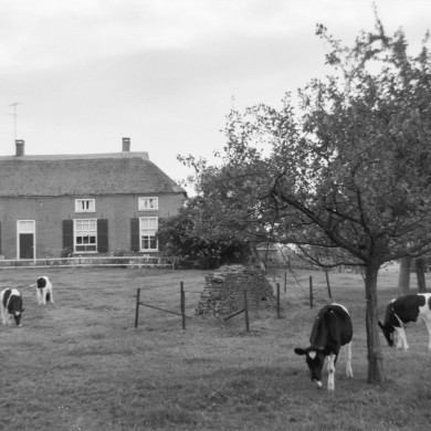 Rijksdienst voor het Cultureel Erfgoed: Rosenberg, H.P.R.
