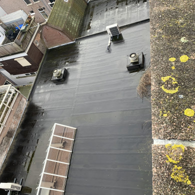 Rijksdienst voor het Cultureel Erfgoed: Bogers, Guido