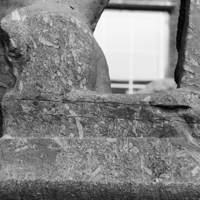 Rijksdienst voor het Cultureel Erfgoed: Tangel, L.M.