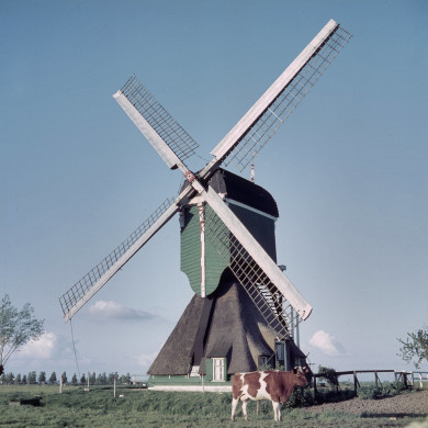 Rijksdienst voor het Cultureel Erfgoed