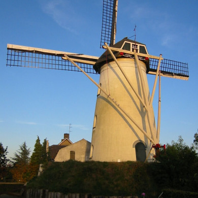 Rijksdienst voor het Cultureel Erfgoed: Terpstra, Frank