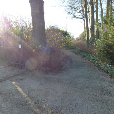 Rijksdienst voor het Cultureel Erfgoed: Bogers, Guido