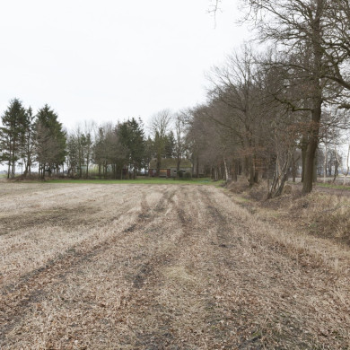 Rijksdienst voor het Cultureel Erfgoed: Booms, Chris