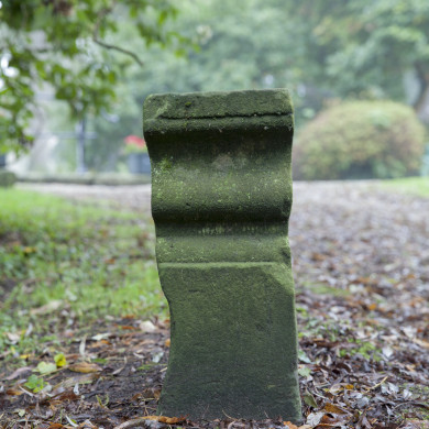 Rijksdienst voor het Cultureel Erfgoed: Sar, Wouter van der