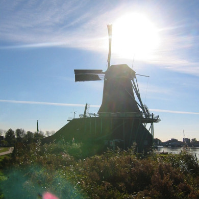 Rijksdienst voor het Cultureel Erfgoed: Terpstra, Frank