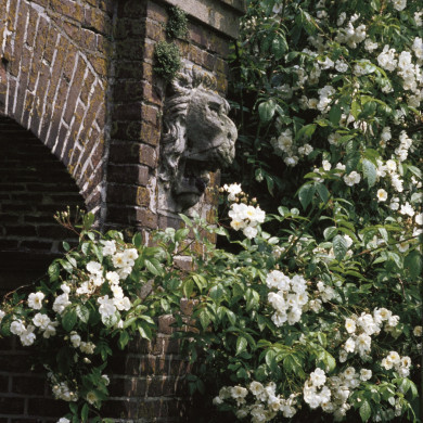 Rijksdienst voor het Cultureel Erfgoed: Heuff M. (Marijke)