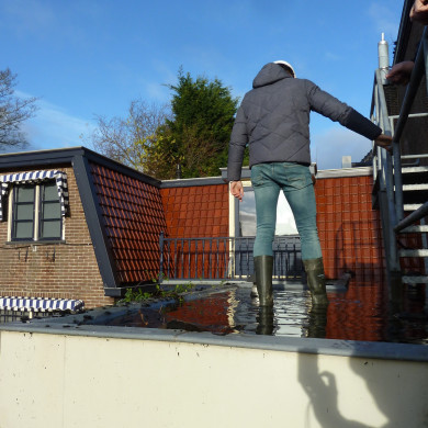 Rijksdienst voor het Cultureel Erfgoed: Bogers, Guido