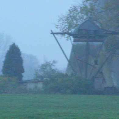 Rijksdienst voor het Cultureel Erfgoed: Bogers, Guido