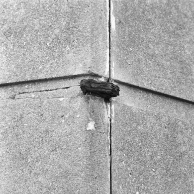 Rijksdienst voor het Cultureel Erfgoed: Dukker, G.J.