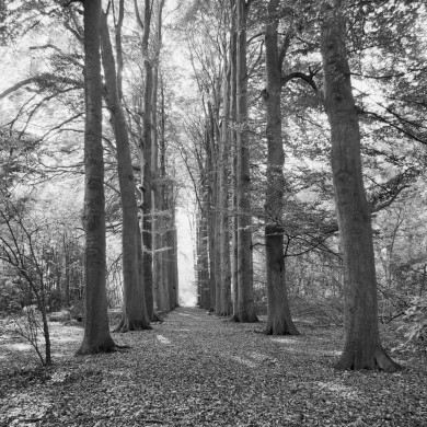 Rijksdienst voor het Cultureel Erfgoed: Galen, P. (Paul) van