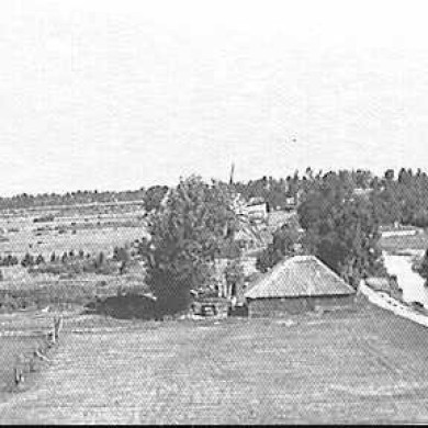 Rijksdienst voor het Cultureel Erfgoed: Beelen, J.A. van