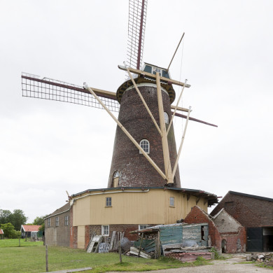 Rijksdienst voor het Cultureel Erfgoed: Booms, C.S. (Chris)