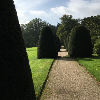 Rijksdienst voor het Cultureel Erfgoed: Wal, Henry van der