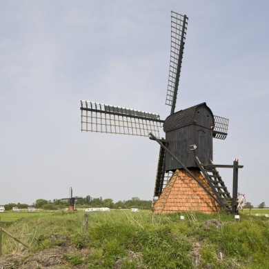 Rijksdienst voor het Cultureel Erfgoed: Roderburg, K. (Kris)