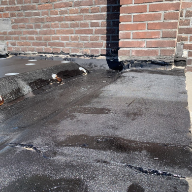 Rijksdienst voor het Cultureel Erfgoed: Bogers, Guido