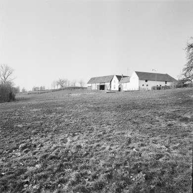 Rijksdienst voor het Cultureel Erfgoed: Galen, P. (Paul) van