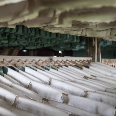 Rijksdienst voor het Cultureel Erfgoed: Sar, Wouter van der