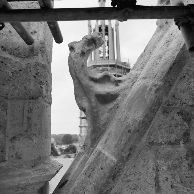 Rijksdienst voor het Cultureel Erfgoed: Tangel, L.M.