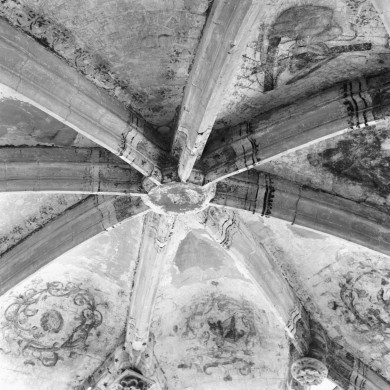 Rijksdienst voor het Cultureel Erfgoed: Delemarre, G.Th.