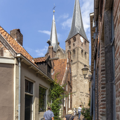 Rijksdienst voor het Cultureel Erfgoed: Schaap, Marchje