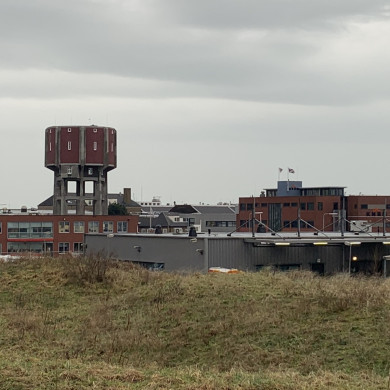 Rijksdienst voor het Cultureel Erfgoed: Bogers, Guido