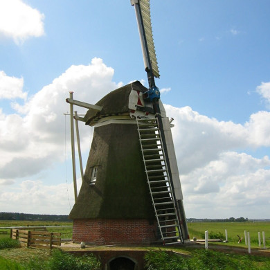 Rijksdienst voor het Cultureel Erfgoed: Terpstra, Frank