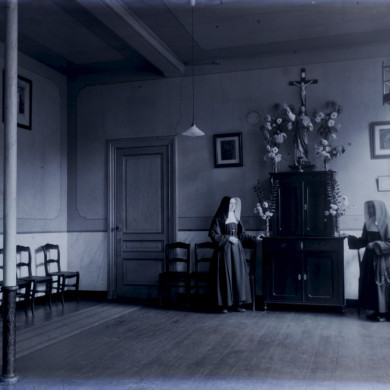 Rijksdienst voor het Cultureel Erfgoed: Brinio