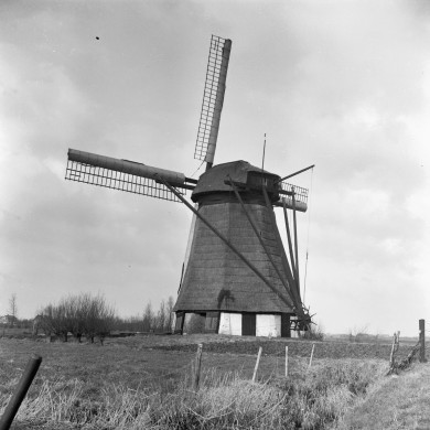 Rijksdienst voor het Cultureel Erfgoed: Bicker Caarten, A.