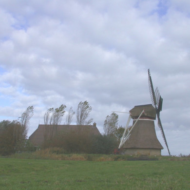 Rijksdienst voor het Cultureel Erfgoed: Terpstra, Frank