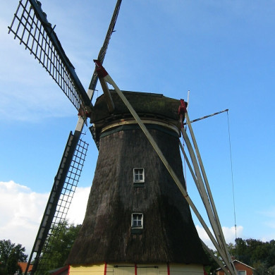 Rijksdienst voor het Cultureel Erfgoed: Terpstra, Frank