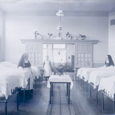 Rijksdienst voor het Cultureel Erfgoed: Brinio