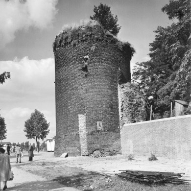 Rijksdienst voor het Cultureel Erfgoed: Delemarre, G.Th.