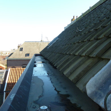 Rijksdienst voor het Cultureel Erfgoed: Bogers, Guido