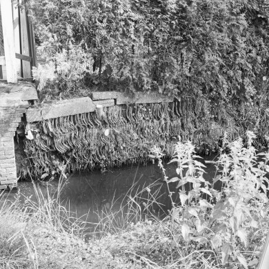 Rijksdienst voor het Cultureel Erfgoed: Schollen, A.H.C.