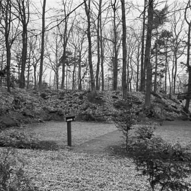 Rijksdienst voor het Cultureel Erfgoed: Tangel, L.M.