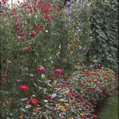 Rijksdienst voor het Cultureel Erfgoed: Heuff M. (Marijke)