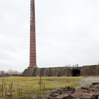 Rijksdienst voor het Cultureel Erfgoed: Booms, C.S. (Chris)