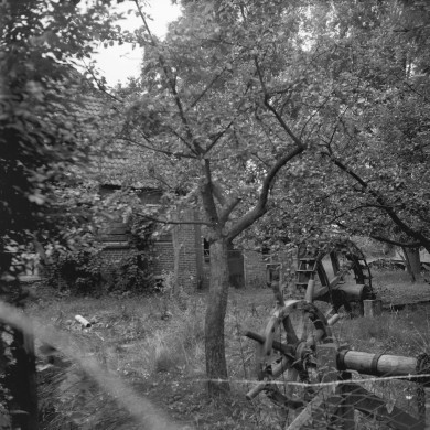 Rijksdienst voor het Cultureel Erfgoed: Dijkstra