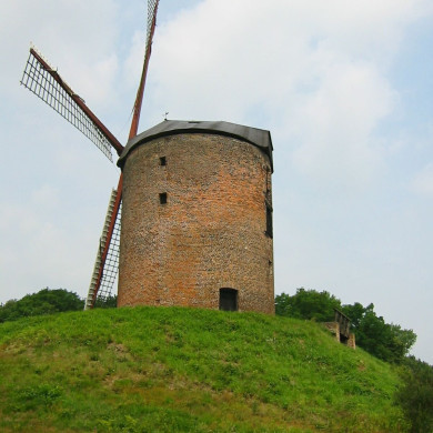Rijksdienst voor het Cultureel Erfgoed: Terpstra, Frank