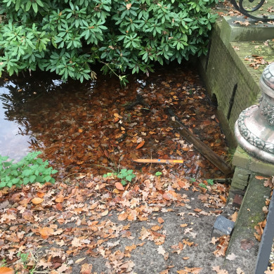 Rijksdienst voor het Cultureel Erfgoed: Wal, Henry van der