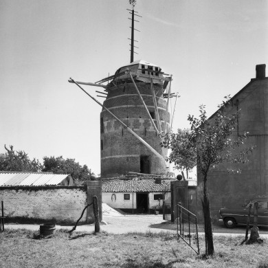 Rijksdienst voor het Cultureel Erfgoed: Delemarre, G.Th.