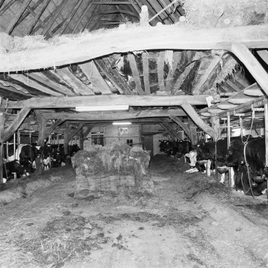 Rijksdienst voor het Cultureel Erfgoed: Wal, A.J. van der