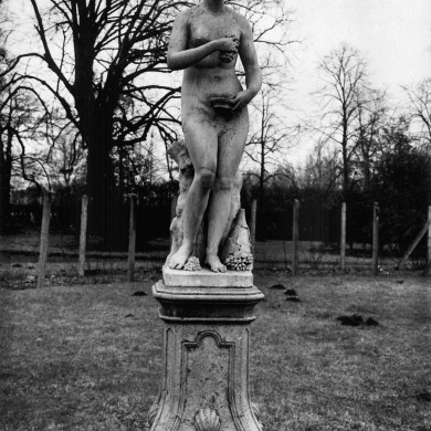 Rijksdienst voor het Cultureel Erfgoed