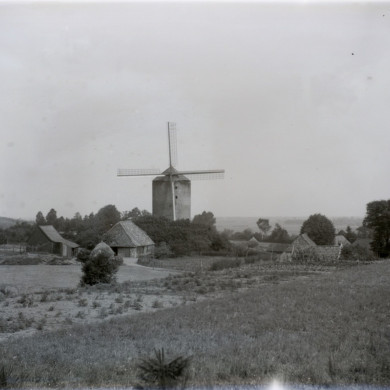 Rijksdienst voor het Cultureel Erfgoed: Brinio