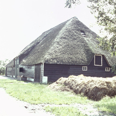 Rijksdienst voor het Cultureel Erfgoed