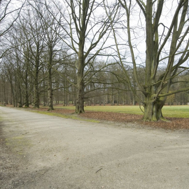 Rijksdienst voor het Cultureel Erfgoed: Galen, Jan van