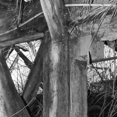 Rijksdienst voor het Cultureel Erfgoed: Berends, G.