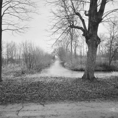 Rijksdienst voor het Cultureel Erfgoed: Wal, A.J. van der