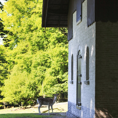 Rijksdienst voor het Cultureel Erfgoed: Jong, Nanette de